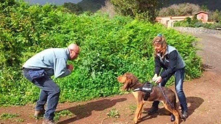 Guardería Canina El Jardín de tu Mascota – residencia canina en Las Palmas