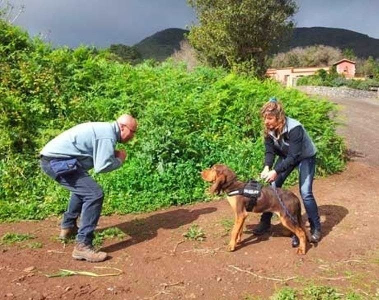 el jardín de tu mascota