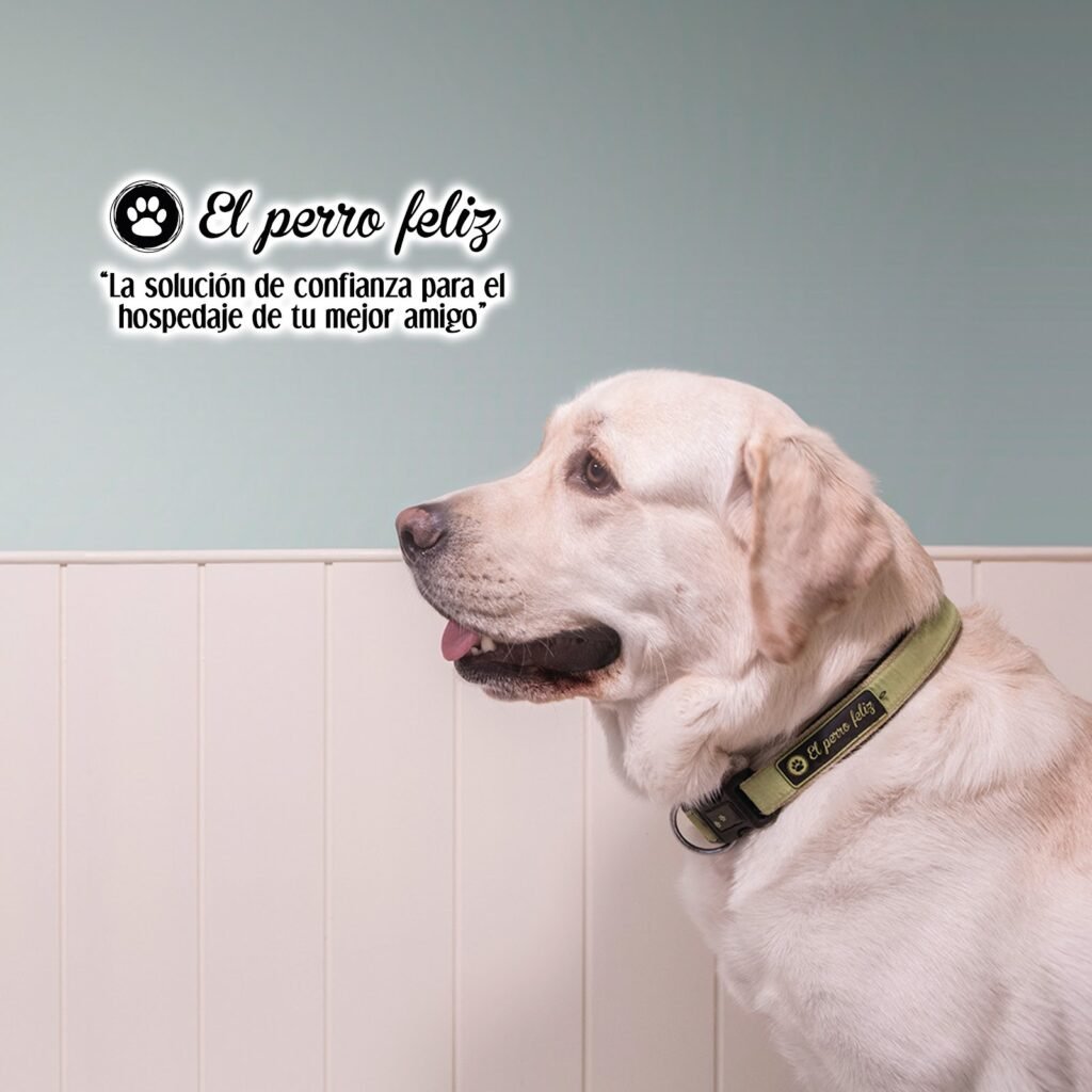 el perro feliz madrid centro