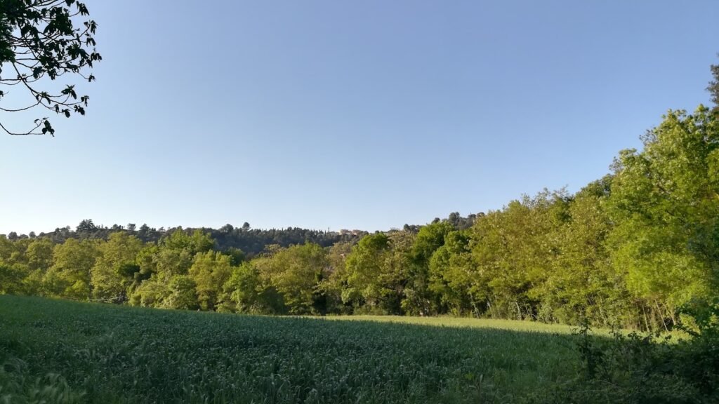 Residencia Canina El Rocater – residencia canina en Girona
