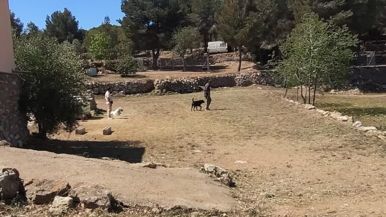 Residencia Canina Espai Verd – residencia canina en Tarragona