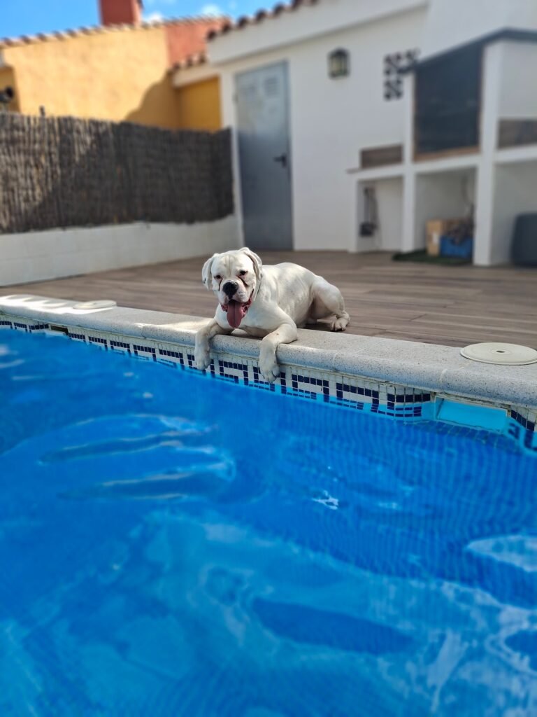 espai verd
