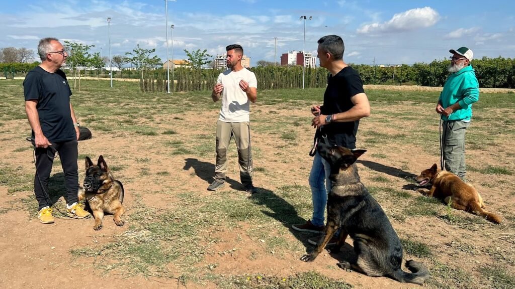 Residencia Canina Espaican – residencia canina en Valencia