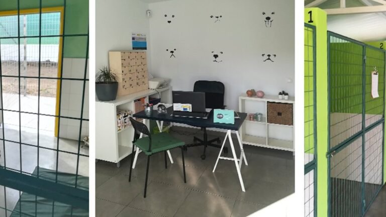 Residencia Canina Faitebo – residencia canina en Pontevedra