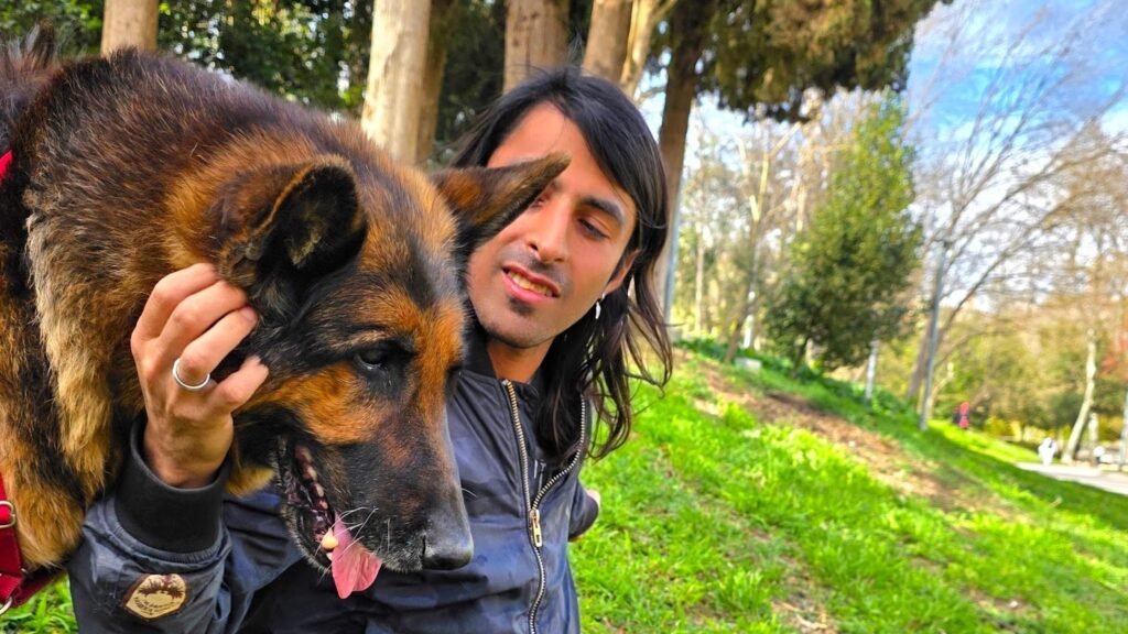 Guardería Familia Amor Animals – residencia canina en Madrid