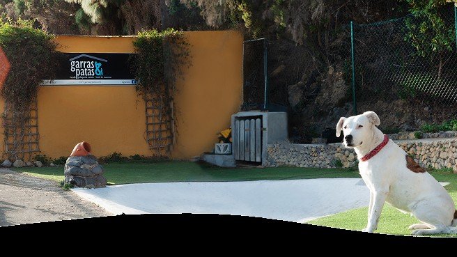 Hotel Canino Garra y Patas – residencia canina en Santa Cruz de Tenerife