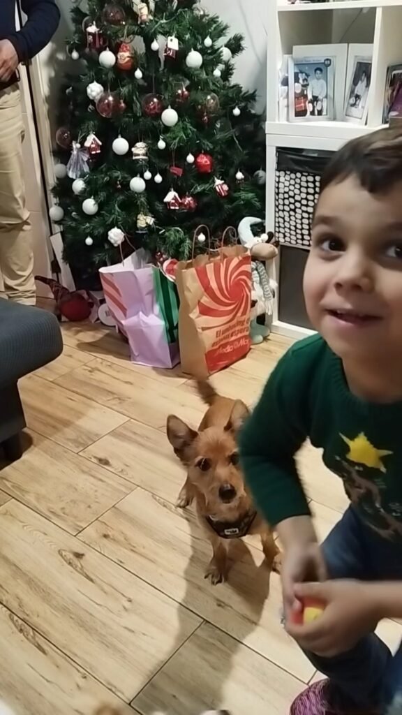guardog