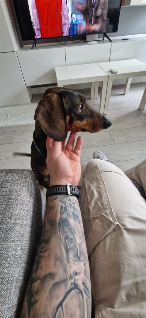 guardog