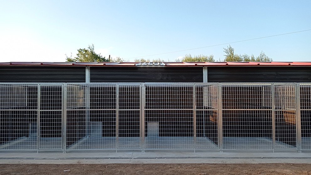 GUAU Adiestramiento – residencia canina en Castellón