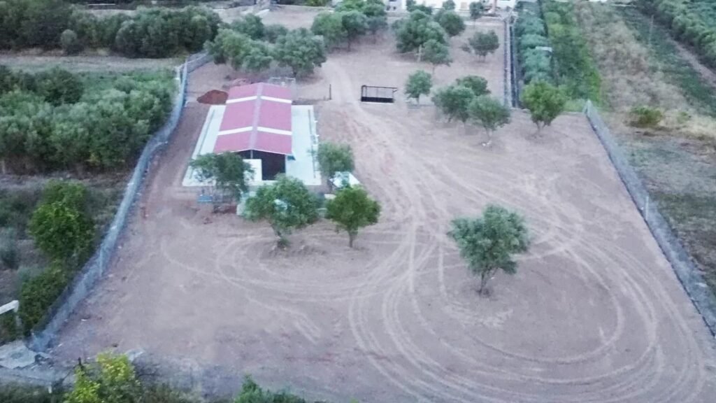 Guau Adiestramiento Canino – residencia canina en Asturias