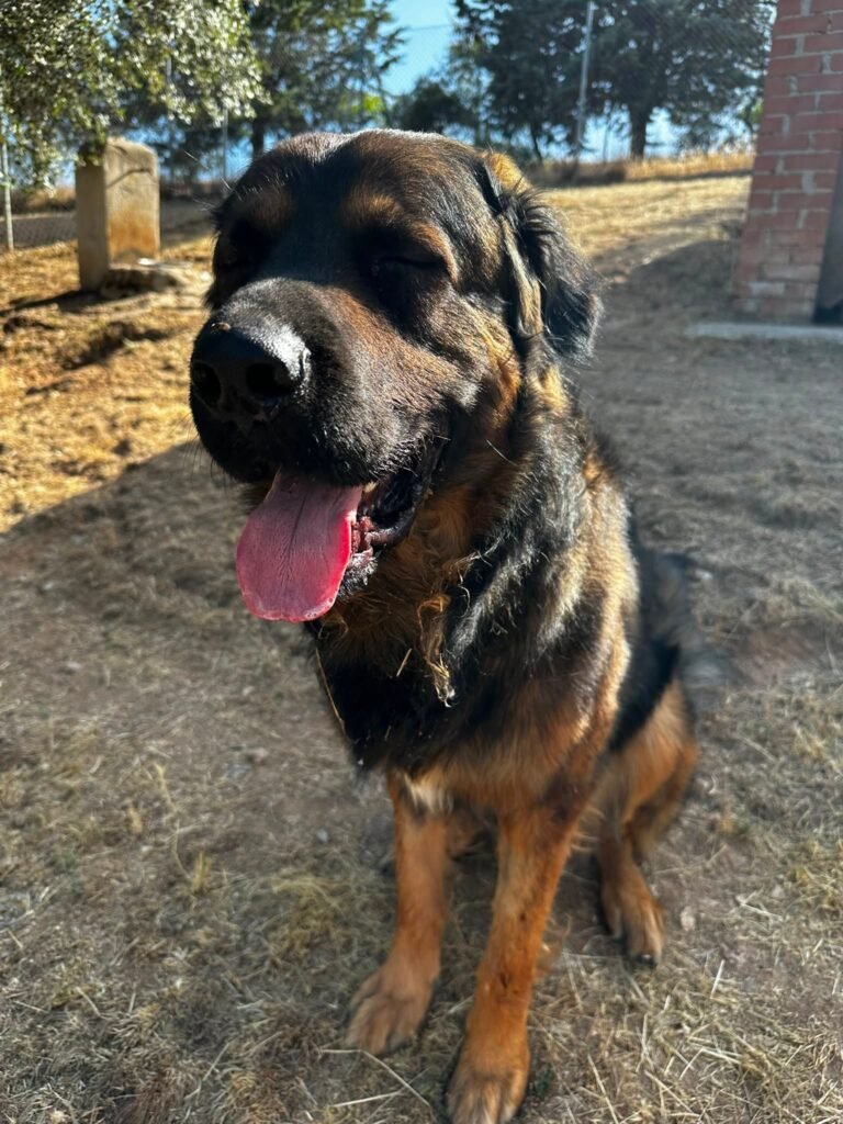 happycan
