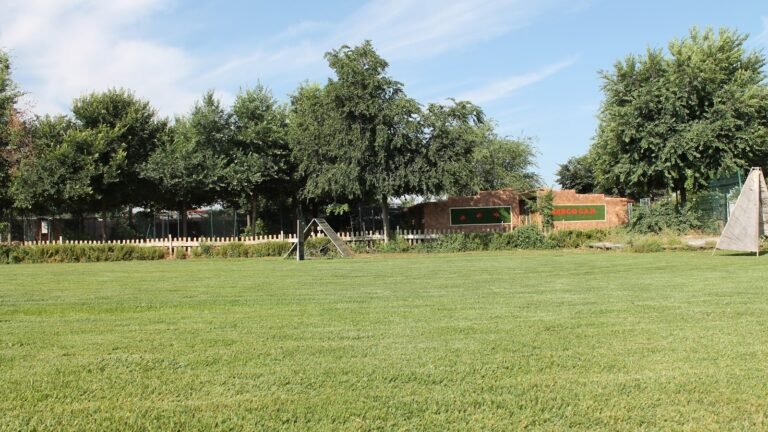 Residencia Canina Hercocán – residencia canina en Toledo