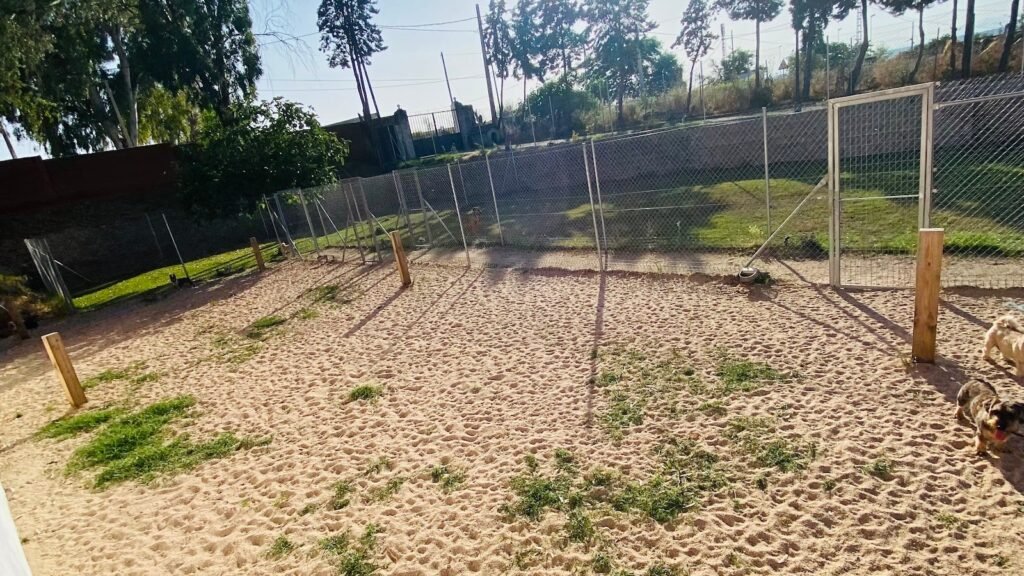 Hotel Canino Talavera – residencia canina en Toledo