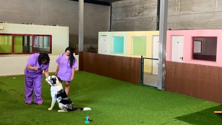 hotel mimascota