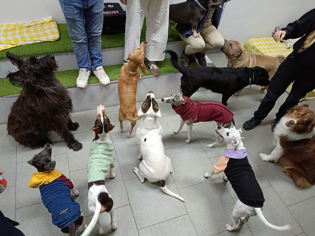 huellas amigas