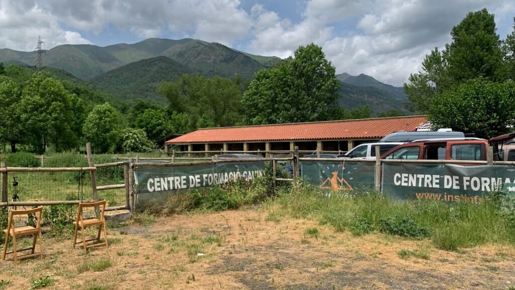 instints barravés