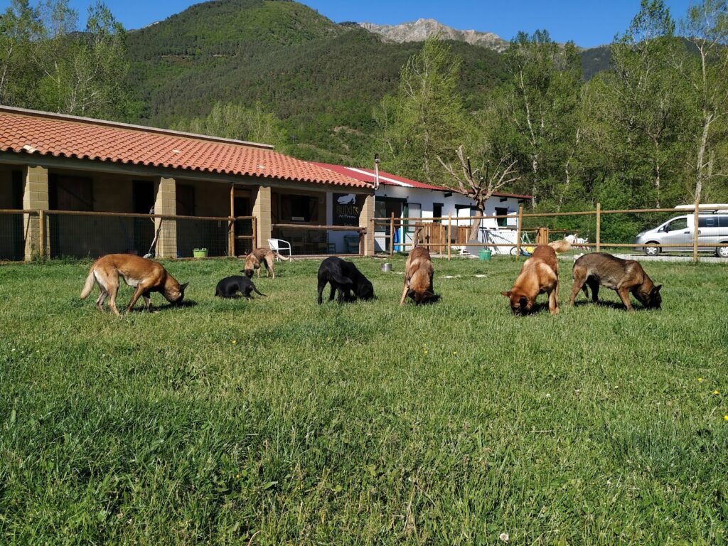 instints barravés