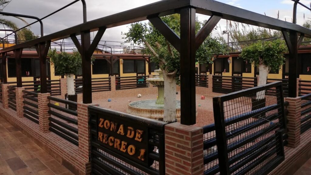 Hotel Canino KanyKat – residencia canina en Alicante