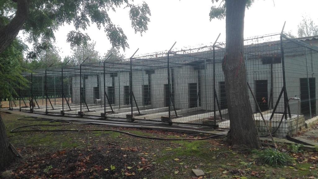 kennel sahara