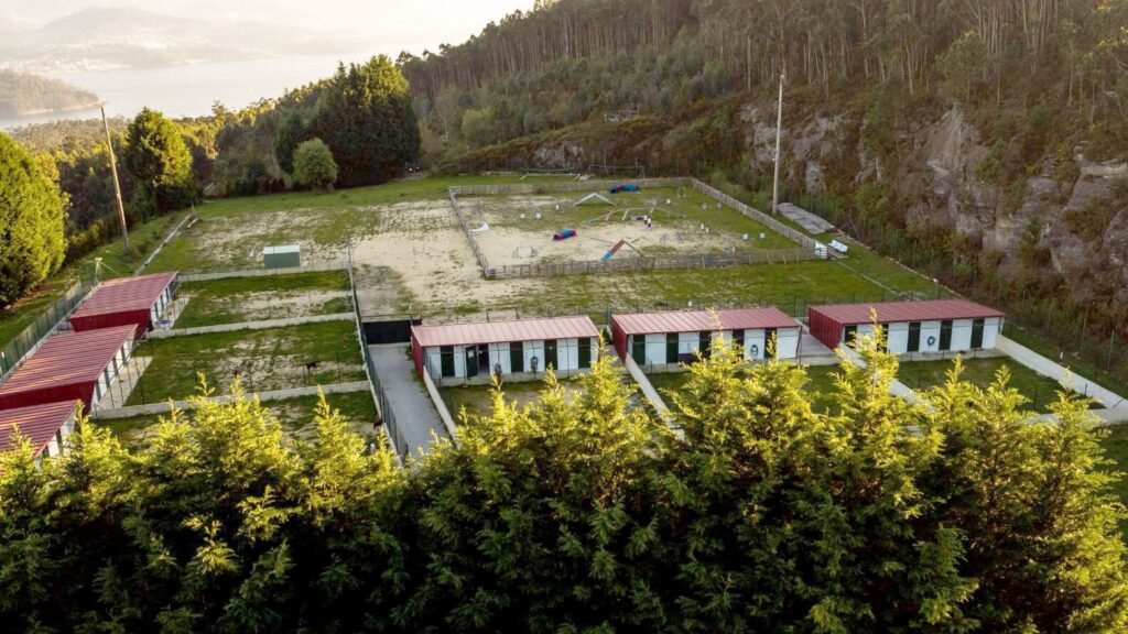 Centro Canino Kennels – residencia canina en Pontevedra