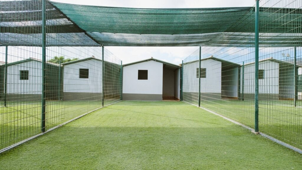 Residencia Canina Koala Pets Home – residencia canina en Santa Cruz de Tenerife