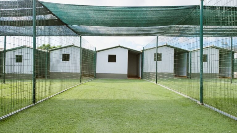 Residencia Canina Koala Pets Home – residencia canina en Santa Cruz de Tenerife