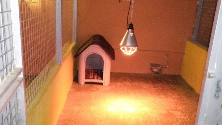 Residencia Canina La Aldea – residencia canina en Murcia