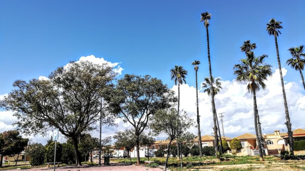 Centro Canino La Almazara – residencia canina en Murcia