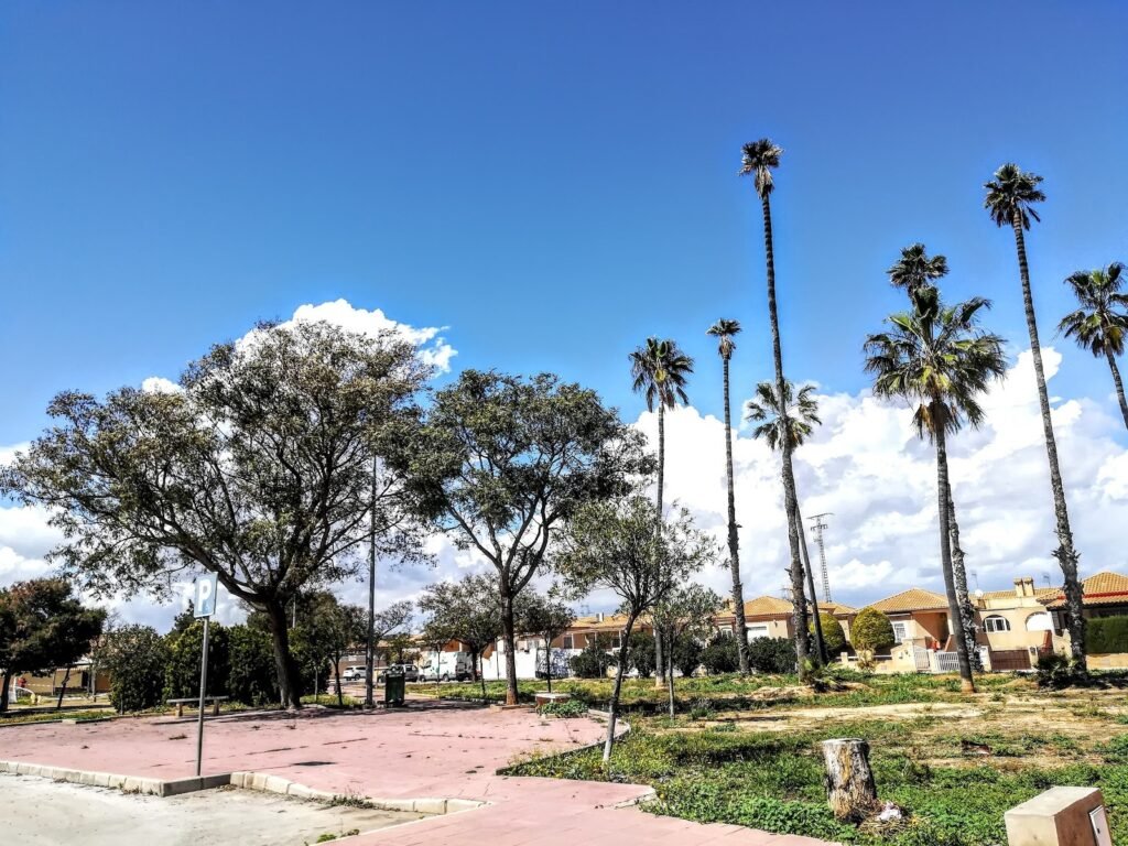 la almazara