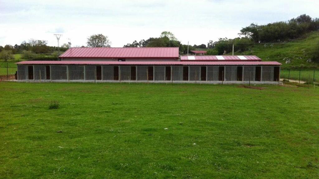 Centro Canino La Eria – residencia canina en Asturias