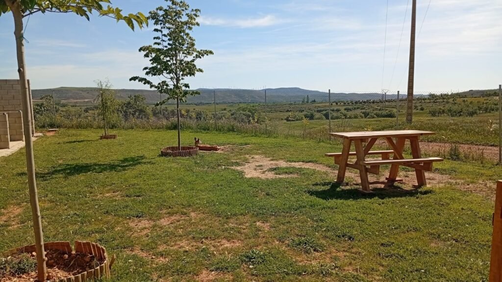 Residencia Canina La Guarida de tu Mascota – residencia canina en Zaragoza