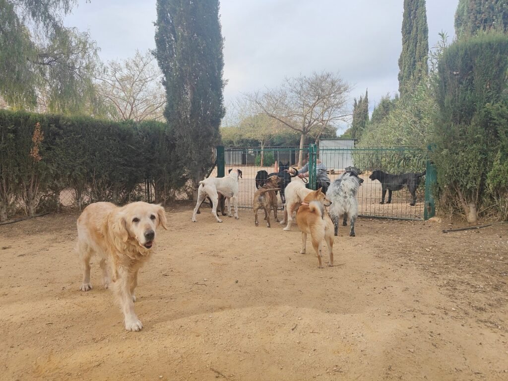 la pradera