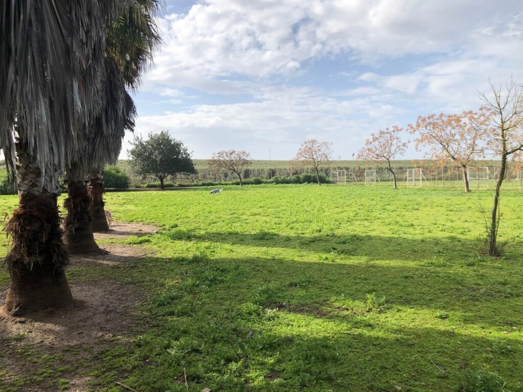 la ventosilla