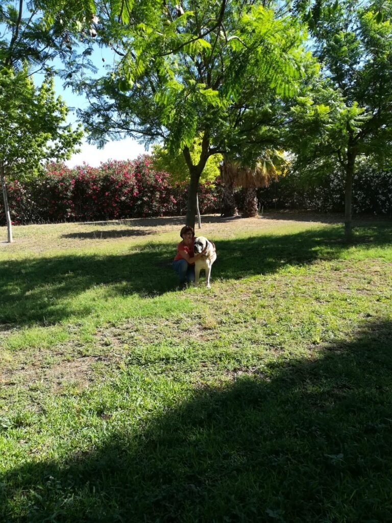 la ventosilla