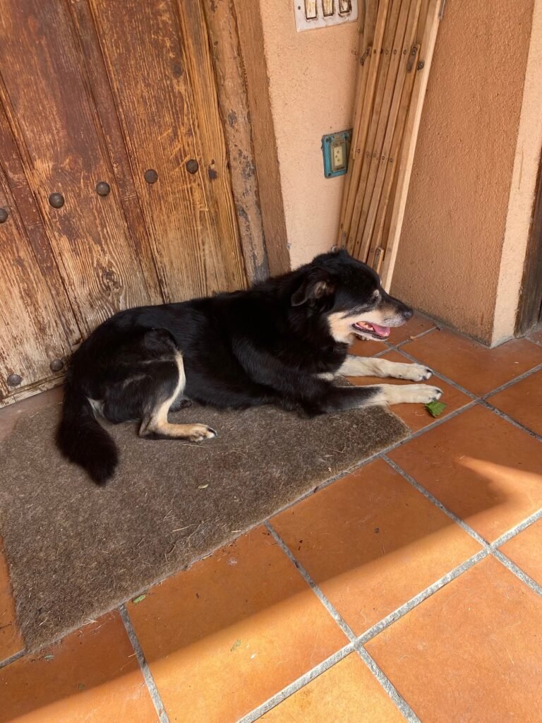 la yosa