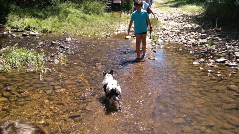 las fuentes