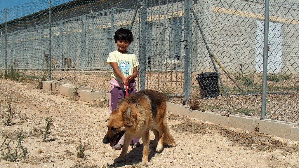 Residencia Canina Las Jaras – residencia canina en Zaragoza