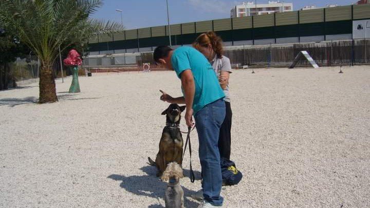 Residencia Canina Latana – residencia canina en Murcia