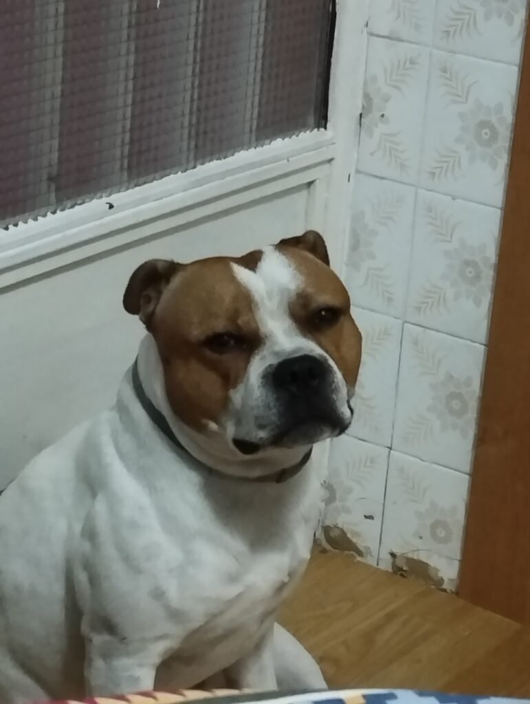 latana