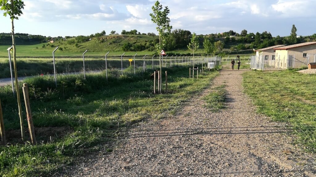 Guardería Canina Libercan – residencia canina en Valladolid