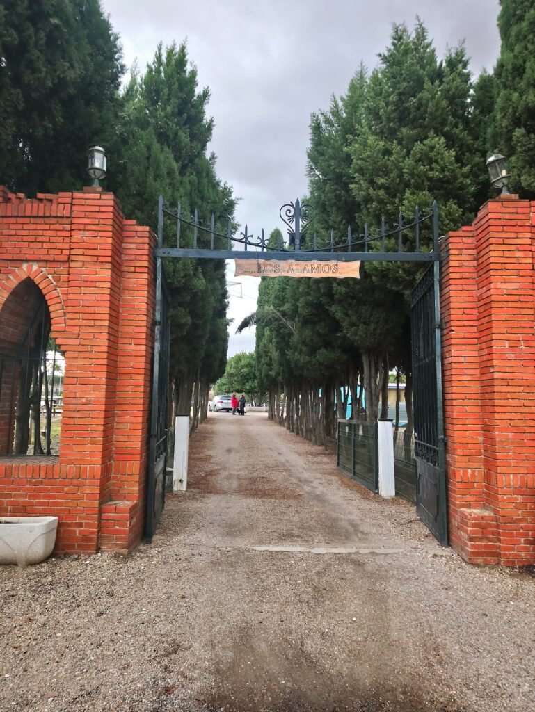 los álamos