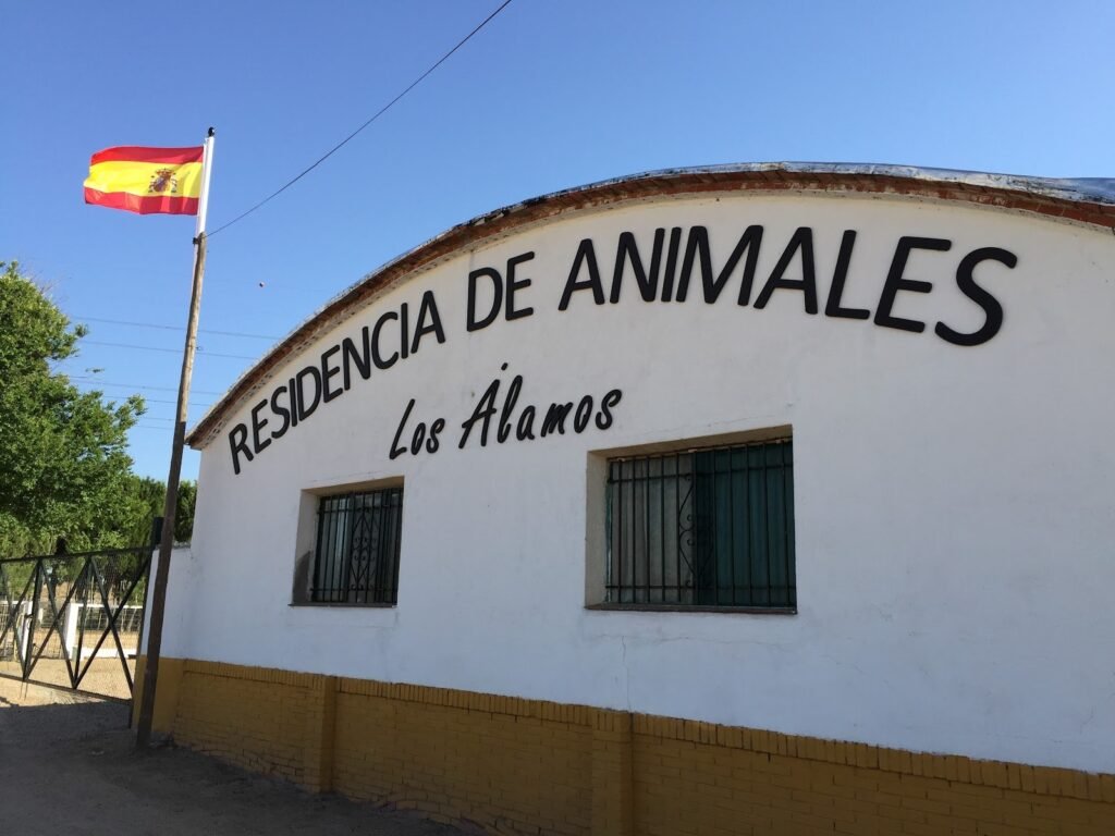 los álamos