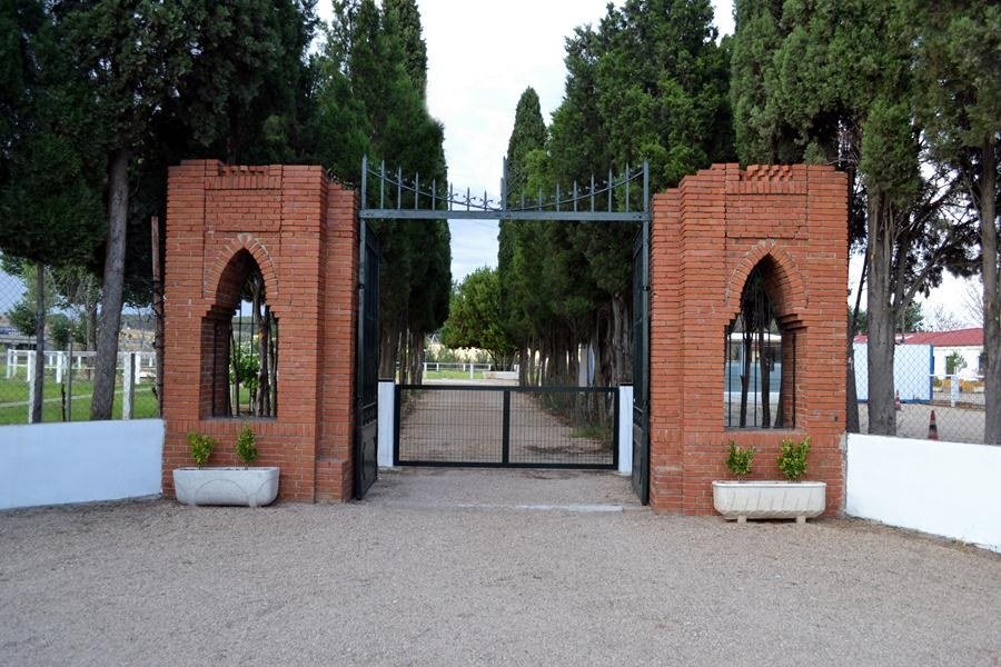 los álamos