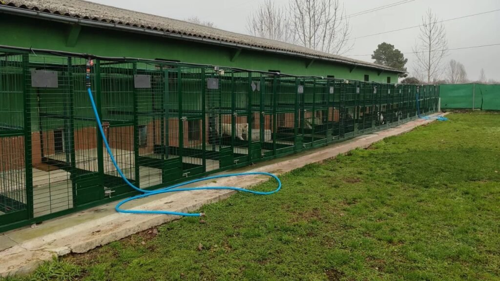 Luan Residencia Canina – residencia canina en Asturias