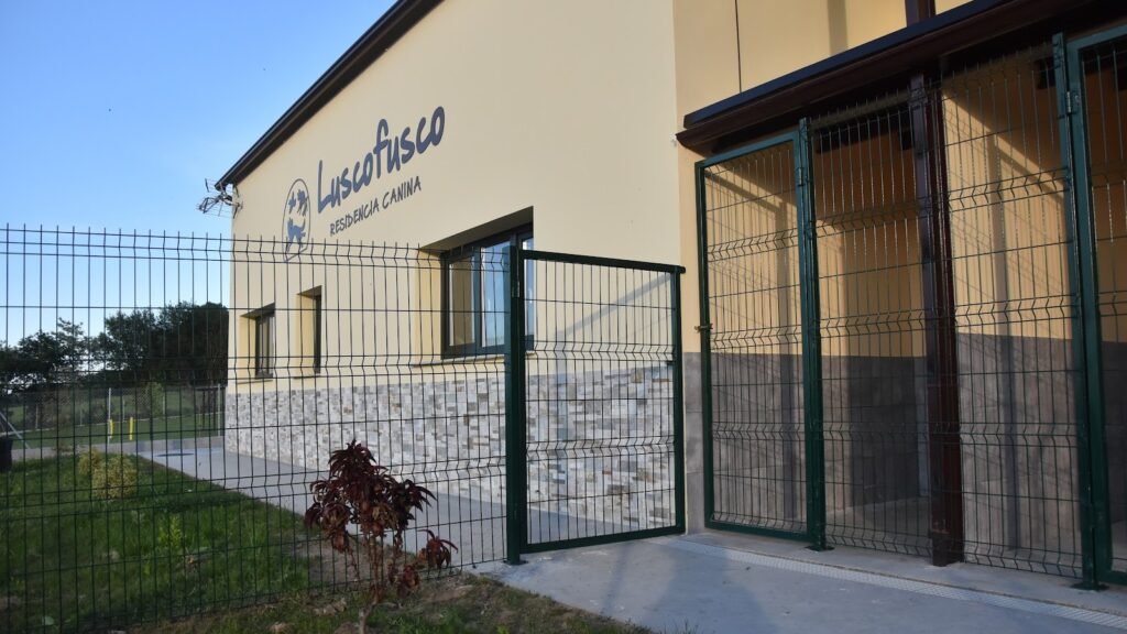 Residencia Canina Luscofusco – residencia canina en Lugo