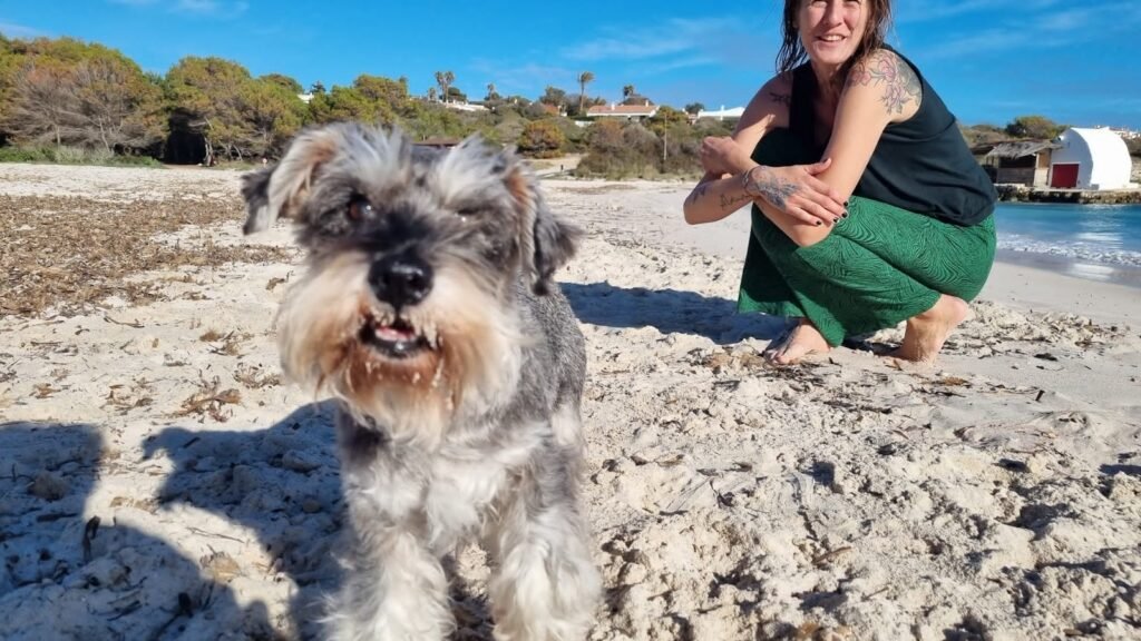 LuziesLovePets – residencia canina en Baleares