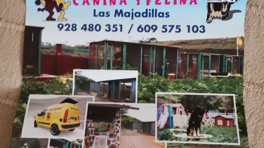 Residencia Canina Majacan – residencia canina en Las Palmas