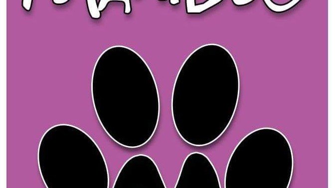 Residencia Canina MamiDog – residencia canina en Sevilla