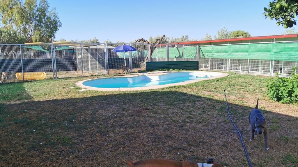 +QUEPERROS – residencia canina en Badajoz