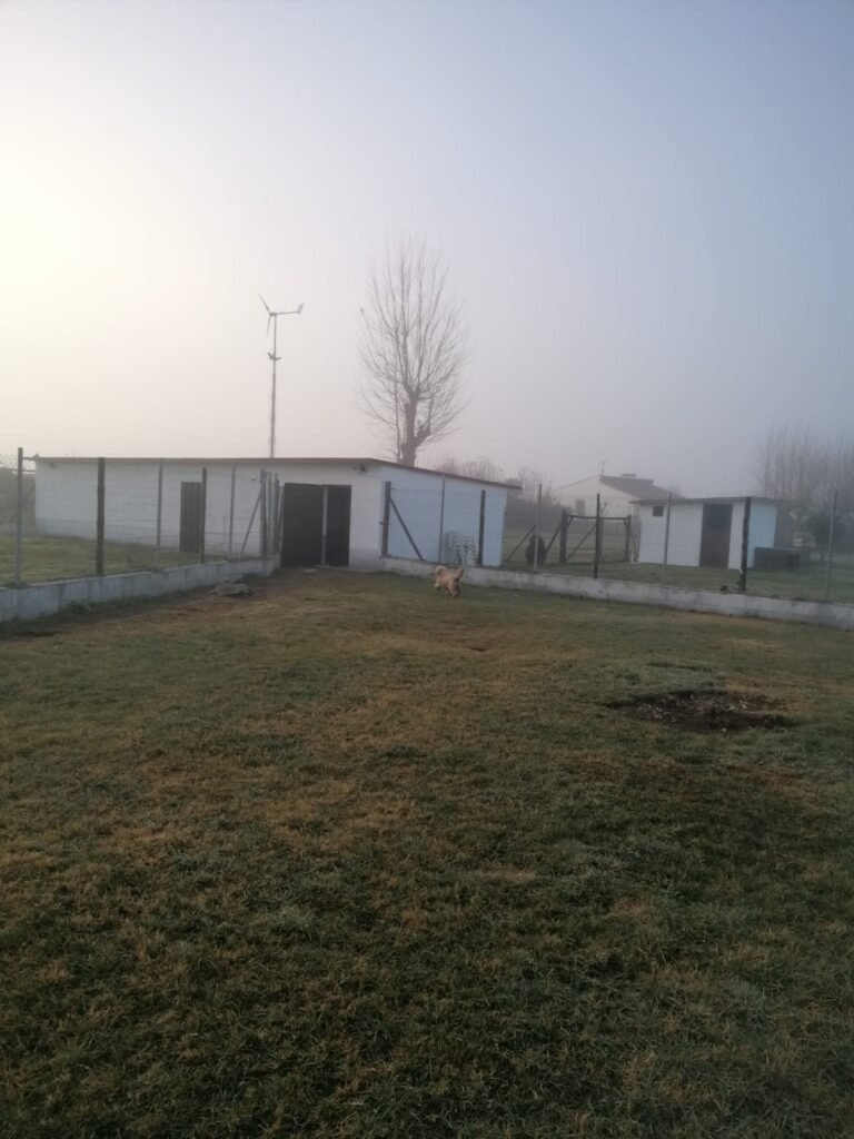 mascocamping